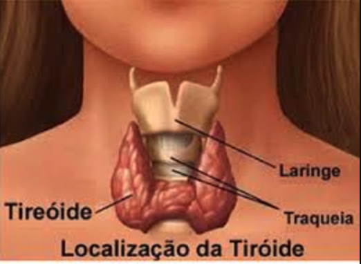 Tireoide