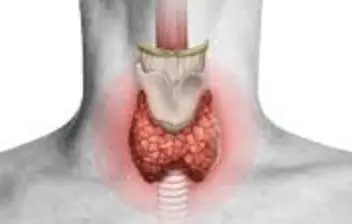 Tireoide